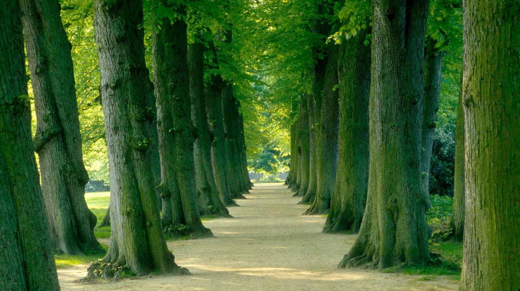 Bildbeschreibung fehlt